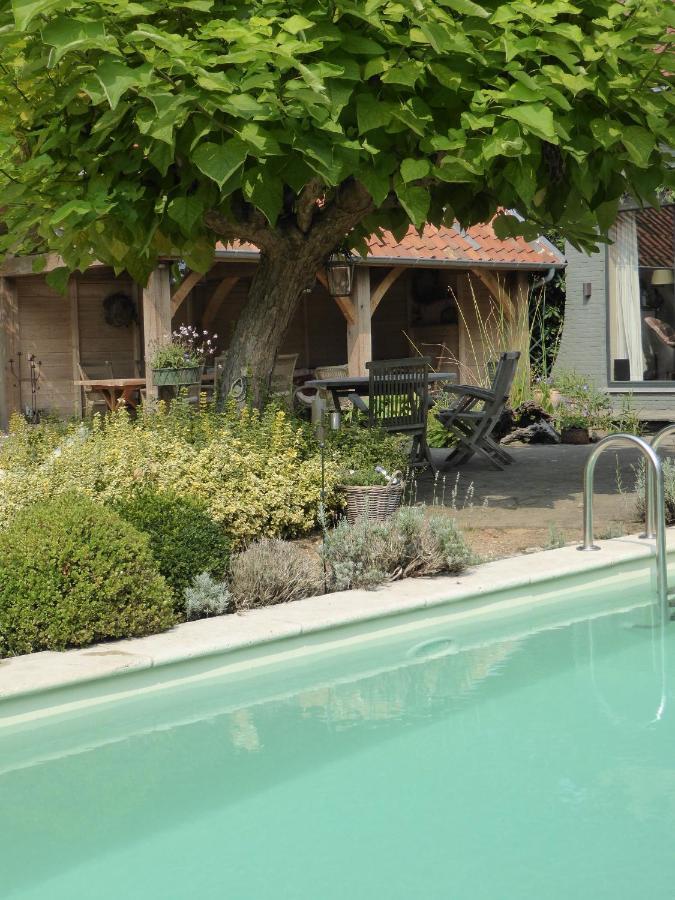 ハッセルト De Epicurist Bed & Breakfast エクステリア 写真